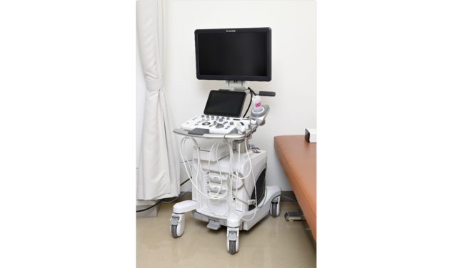 エコー（FUJIFIRM ARIETTA 50）